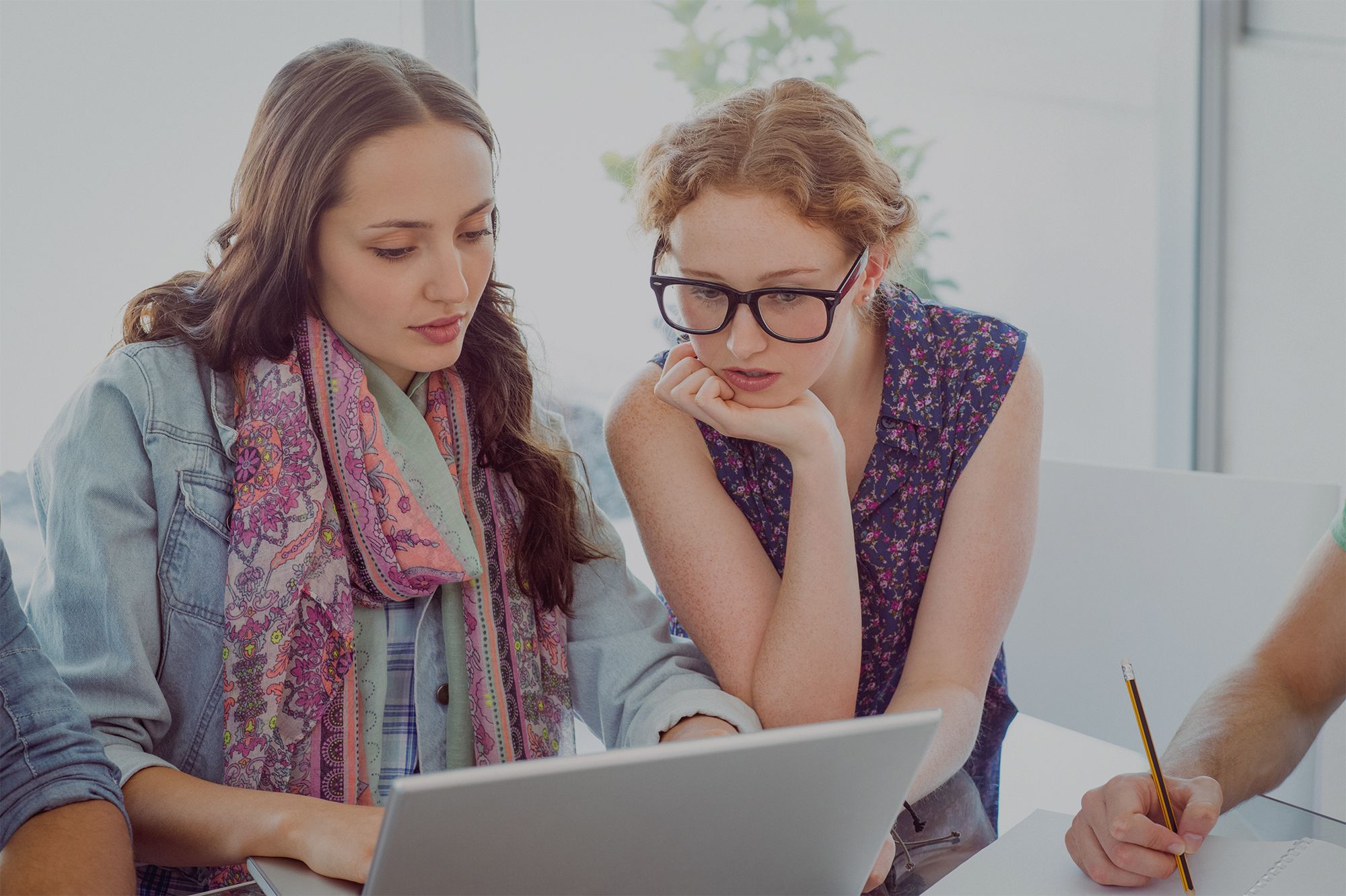 Wordpress training courses wp pro school